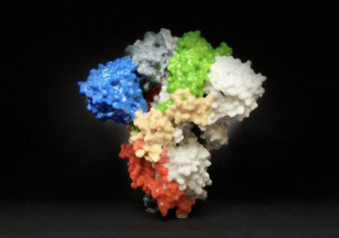 &Kappa;&omicron;&rho;&omega;&nu;&omicron;ϊό&sigmaf;: &Kappa;&iota;&nu;&delta;&upsilon;&nu;&epsilon;ύ&omicron;&upsilon;&nu; &kappa;&alpha;&iota; &omicron;&iota; &mu;&epsilon;&sigma;ή&lambda;&iota;&kappa;&epsilon;&sigmaf;, &tau;&epsilon;&lambda;&iota;&kappa;ά...