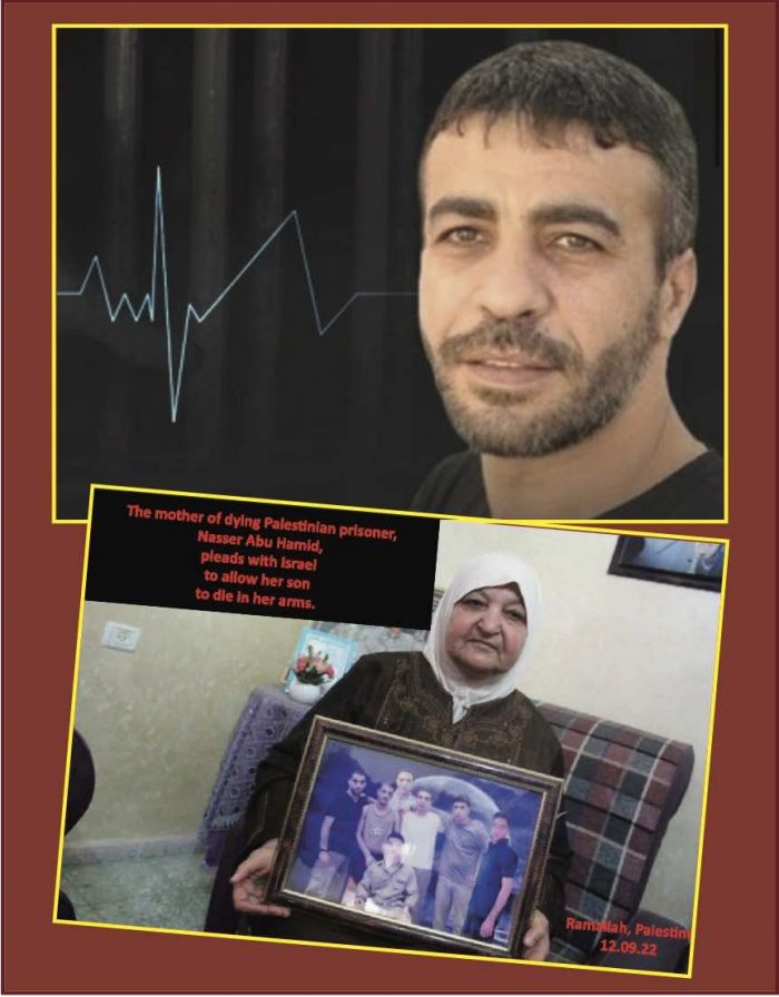 &Tau;&omicron; &delta;&rho;ά&mu;&alpha; &mu;&iota;&alpha;&sigmaf; &pi;&alpha;&lambda;&alpha;&iota;&sigma;&tau;&iota;&nu;&iota;&alpha;&kappa;ή&sigmaf; &omicron;&iota;&kappa;&omicron;&gamma;έ&nu;&epsilon;&iota;&alpha; &pi;&omicron;&upsilon; &xi;&epsilon;&kappa;&lambda;&eta;&rho;ί&zeta;&epsilon;&tau;&alpha;&iota; &alpha;&pi;ό &tau;&iota;&sigmaf; &iota;&sigma;&rho;&alpha;&eta;&lambda;&iota;&nu;έ&sigmaf; &delta;&upsilon;&nu;ά&mu;&epsilon;&iota;&sigmaf; &kappa;&alpha;&tau;&omicron;&chi;ή&sigmaf;