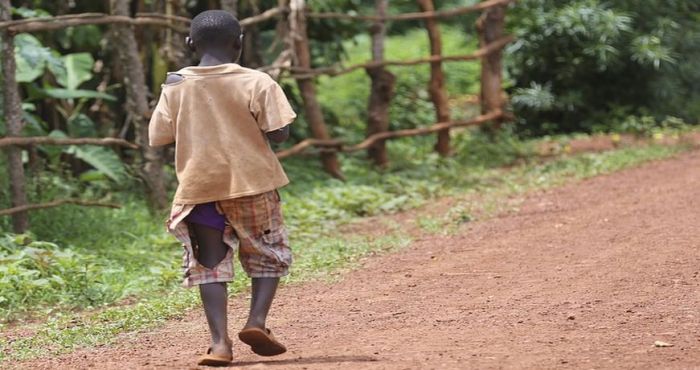 &Kappa;ά&theta;&epsilon; &mu;έ&rho;&alpha; &pi;&epsilon;&theta;&alpha;ί&nu;&omicron;&upsilon;&nu; 15.000 &pi;&alpha;&iota;&delta;&iota;ά &alpha;&pi;ό &alpha;&sigma;&theta;έ&nu;&epsilon;&iota;&epsilon;&sigmaf; &pi;&omicron;&upsilon; &mu;&pi;&omicron;&rho;&omicron;ύ&nu; &pi;&rho;&omicron;&lambda;&eta;&phi;&theta;&omicron;ύ&nu;!