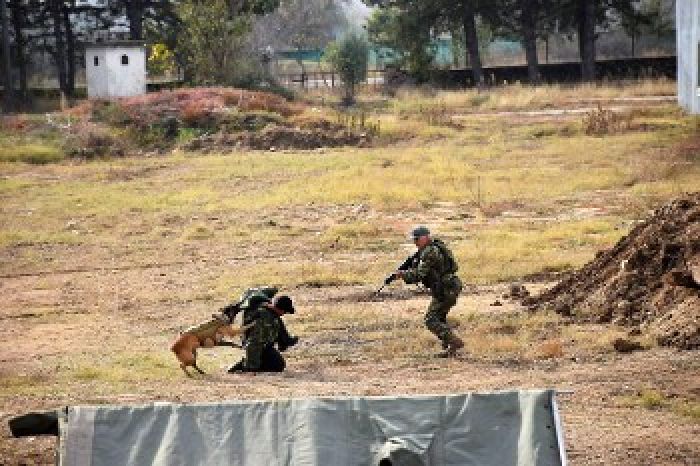 &Epsilon;&lambda;&lambda;ά&delta;&alpha;: &Epsilon;&kappa;&pi;&alpha;ί&delta;&epsilon;&upsilon;&sigma;&eta; &Epsilon;&nu;ό&pi;&lambda;&omega;&nu; &Delta;&upsilon;&nu;ά&mu;&epsilon;&omega;&nu; &epsilon;&nu;ά&nu;&tau;&iota;&alpha; &sigma;&epsilon; &laquo;&alpha;&nu;&tau;ά&rho;&tau;&epsilon;&sigmaf;, &epsilon;&pi;&alpha;&nu;&alpha;&sigma;&tau;ά&tau;&epsilon;&sigmaf;, &sigma;&tau;&alpha;&sigma;&iota;&alpha;&sigma;&tau;έ&sigmaf;&raquo;!