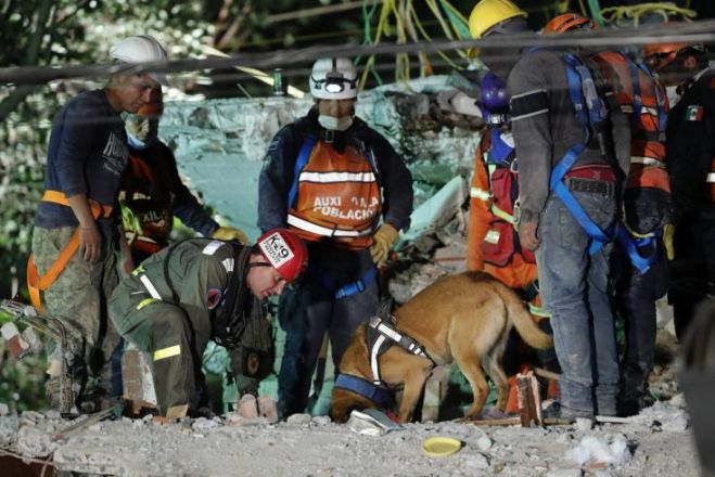 &Phi;&rho;ί&nu;&tau;&alpha;, &tau;&omicron; &sigma;&kappa;&upsilon;&lambda;ί &pi;&omicron;&upsilon; έ&sigma;&omega;&sigma;&epsilon; &delta;&epsilon;&kappa;ά&delta;&epsilon;&sigmaf; &zeta;&omega;έ&sigmaf; &mu;&epsilon;&tau;ά &tau;&omicron; &sigma;&epsilon;&iota;&sigma;&mu;ό &sigma;&tau;&omicron; &Mu;&epsilon;&xi;&iota;&kappa;ό...