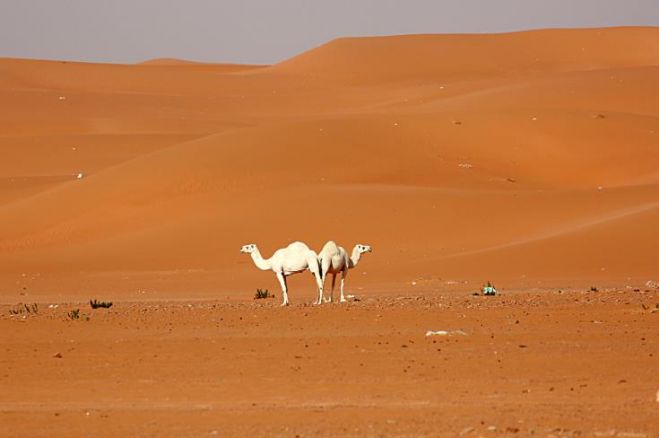 &Pi;&alpha;&gamma;&kappa;ό&sigma;&mu;&iota;&omicron;&sigmaf; Ά&tau;&lambda;&alpha;&sigmaf; &epsilon;&rho;&eta;&mu;&omicron;&pi;&omicron;ί&eta;&sigma;&eta;&sigmaf; &tau;&omicron;&upsilon; &pi;&lambda;&alpha;&nu;ή&tau;&eta;