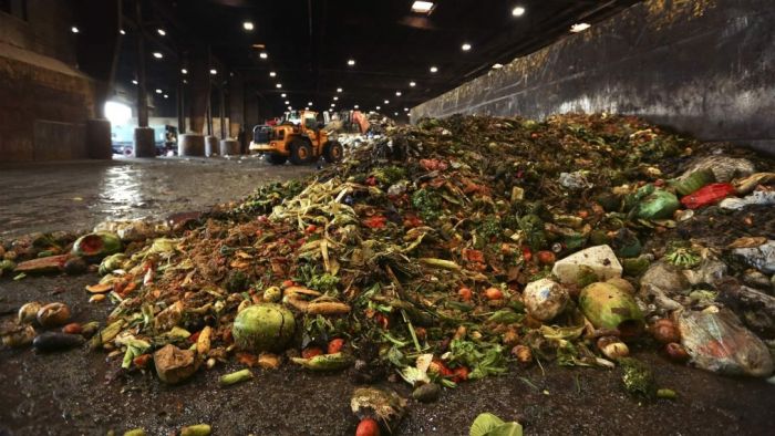 &Sigma;&tau;&alpha; &sigma;&kappa;&omicron;&upsilon;&pi;ί&delta;&iota;&alpha; &kappa;&alpha;&tau;&alpha;&lambda;ή&gamma;&omicron;&upsilon;&nu; 931 &epsilon;&kappa;&alpha;&tau;&omicron;&mu;&mu;ύ&rho;&iota;&alpha; &tau;ό&nu;&omicron;&iota; &phi;&alpha;&gamma;&eta;&tau;&omicron;ύ &kappa;ά&theta;&epsilon; &chi;&rho;ό&nu;&omicron;
