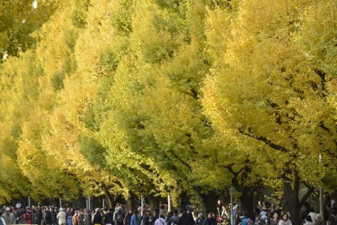 &Phi;&lambda;&alpha;&mu;&omicron;&upsilon;&rho;&iota;ά 500 &epsilon;&tau;ώ&nu; &kappa;&alpha;&iota; &beta;&epsilon;&lambda;&alpha;&nu;&iota;&delta;&iota;ά 300 &epsilon;&tau;ώ&nu; &delta;&iota;&epsilon;&kappa;&delta;&iota;&kappa;&omicron;ύ&nu; &tau;&omicron;&nu; &tau;ί&tau;&lambda;&omicron; &ldquo;&Epsilon;&upsilon;&rho;&omega;&pi;&alpha;ϊ&kappa;ό &Delta;έ&nu;&tau;&rho;&omicron; 2019&rdquo;