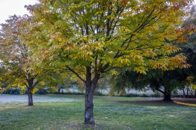 &Alpha;&nu;&alpha;&gamma;&kappa;&alpha;&iota;ό&tau;&eta;&tau;&alpha; &eta; &kappa;&alpha;&theta;&iota;έ&rho;&omega;&sigma;&eta; &kappa;&rho;&alpha;&tau;&iota;&kappa;ή&sigmaf; &pi;&omicron;&lambda;&iota;&tau;&iota;&kappa;ή&sigmaf; &mu;&epsilon; &epsilon;&pi;ί&kappa;&epsilon;&nu;&tau;&rho;&omicron; ά&nu;&theta;&rho;&omega;&pi;&omicron; - &pi;&epsilon;&rho;&iota;&beta;ά&lambda;&lambda;&omicron;&nu;
