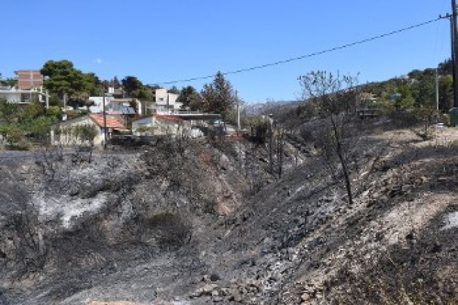 &Upsilon;&pi;&alpha;ί&tau;&iota;&omicron;&sigmaf; &gamma;&iota;&alpha; &tau;&iota;&sigmaf; &mu;&epsilon;&gamma;ά&lambda;&epsilon;&sigmaf; &delta;&alpha;&sigma;&iota;&kappa;έ&sigmaf; &pi;&upsilon;&rho;&kappa;&alpha;&gamma;&iota;έ&sigmaf; &omicron; &kappa;&alpha;&pi;&iota;&tau;&alpha;&lambda;&iota;&sigma;&tau;&iota;&kappa;ό&sigmaf; &delta;&rho;ό&mu;&omicron;&sigmaf; &alpha;&nu;ά&pi;&tau;&upsilon;&xi;&eta;&sigmaf;