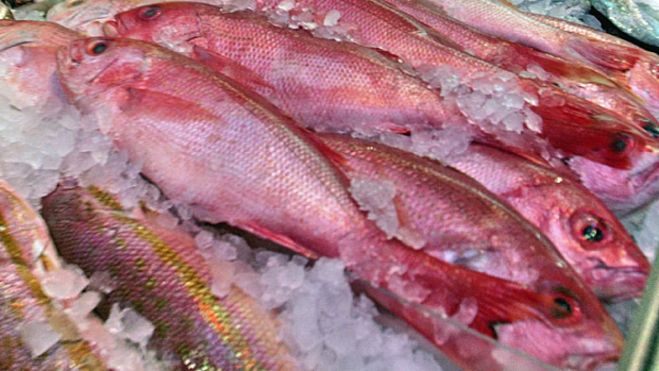 &Mu;&iota;&kappa;&rho;&omicron;&pi;&lambda;&alpha;&sigma;&tau;&iota;&kappa;ά &sigma;&epsilon; ό&lambda;&alpha; &tau;&alpha; &delta;&epsilon;ί&gamma;&mu;&alpha;&tau;&alpha; &alpha;&nu;&theta;&rho;ώ&pi;&iota;&nu;&omega;&nu; &kappa;&omicron;&pi;&rho;ά&nu;&omega;&nu;!