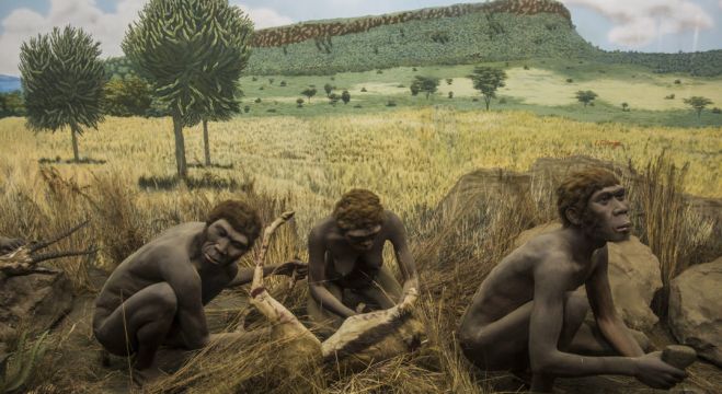 &Eta; &epsilon;&mu;&phi;ά&nu;&iota;&sigma;&eta; &tau;&omicron;&upsilon; Homo sapiens &sigma;&tau;&eta;&nu; &Alpha;&phi;&rho;&iota;&kappa;ή έ&gamma;&iota;&nu;&epsilon; &pi;&rho;&iota;&nu; &alpha;&pi;ό 350.000 &chi;&rho;ό&nu;&iota;&alpha;