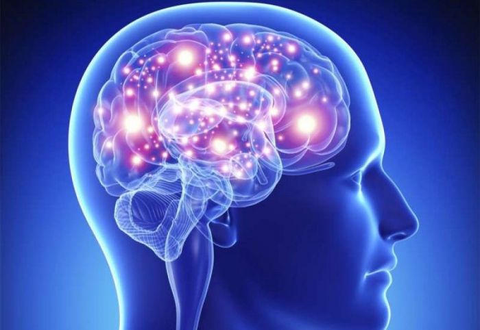 &Epsilon;&gamma;&kappa;έ&phi;&alpha;&lambda;&omicron;&sigmaf;: &Delta;έ&kappa;&alpha; &nu;έ&alpha; &pi;&rho;ά&gamma;&mu;&alpha;&tau;&alpha; &pi;&omicron;&upsilon; &mu;ά&theta;&alpha;&mu;&epsilon; &gamma;&iota;&alpha; &tau;&omicron;... &laquo;&alpha;&nu;ώ&tau;&epsilon;&rho;&omicron; &pi;&rho;&omicron;ϊό&nu; &tau;&eta;&sigmaf; ύ&lambda;&eta;&sigmaf;&raquo;