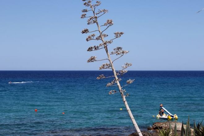 &Pi;&alpha;&rho;&omicron;&upsilon;&sigma;ί&alpha;&sigma;&eta; &mu;&epsilon;&lambda;έ&tau;&eta;&sigmaf; &gamma;&iota;&alpha; &nu;έ&omicron; &mu;&omicron;&nu;&tau;έ&lambda;&omicron; &tau;&omicron;&upsilon;&rho;&iota;&sigma;&tau;&iota;&kappa;ή&sigmaf; &alpha;&nu;ά&pi;&tau;&upsilon;&xi;&eta;&sigmaf; &sigma;&tau;&eta;&nu; &Kappa;ύ&pi;&rho;&omicron;