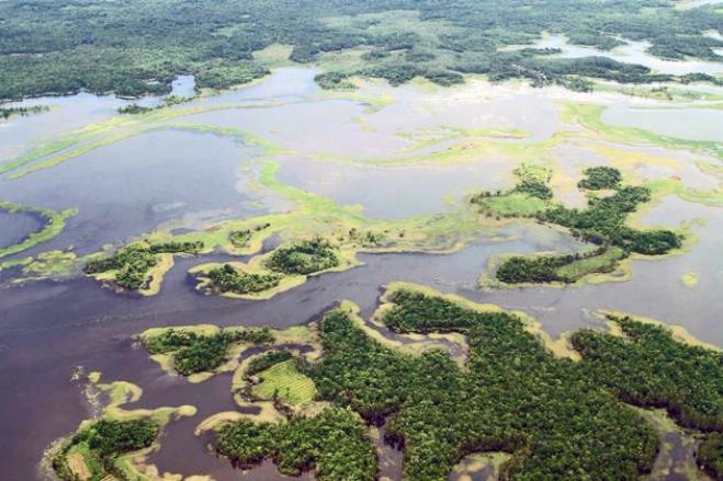&Eta; &alpha;&rho;&pi;&alpha;&gamma;ή &tau;&eta;&sigmaf; &Pi;&alpha;&pi;&omicron;ύ&alpha; &Nu;. &Gamma;&omicron;&upsilon;&iota;&nu;έ&alpha;&sigmaf;