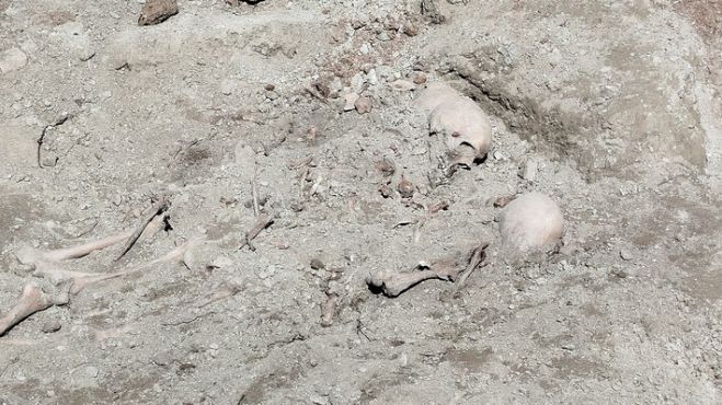 &Theta;&epsilon;&sigma;&sigma;&alpha;&lambda;&omicron;&nu;ί&kappa;&eta; - &Sigma;&upsilon;&kappa;&iota;έ&sigmaf;: &Mu;&alpha;&zeta;&iota;&kappa;&omicron;ί &tau;ά&phi;&omicron;&iota;, &omicron;&pi;έ&sigmaf; &alpha;&pi;ό &sigma;&phi;&alpha;ί&rho;&epsilon;&sigmaf; &sigma;&tau;&omicron; &kappa;&rho;&alpha;&nu;ί&omicron; &kappa;&alpha;&iota; &tau;&omicron; &beta;ά&theta;&rho;&omicron; &tau;&eta;&sigmaf; &alpha;&sigma;&tau;&iota;&kappa;ή&sigmaf; &delta;&eta;&mu;&omicron;&kappa;&rho;&alpha;&tau;ί&alpha;&sigmaf;