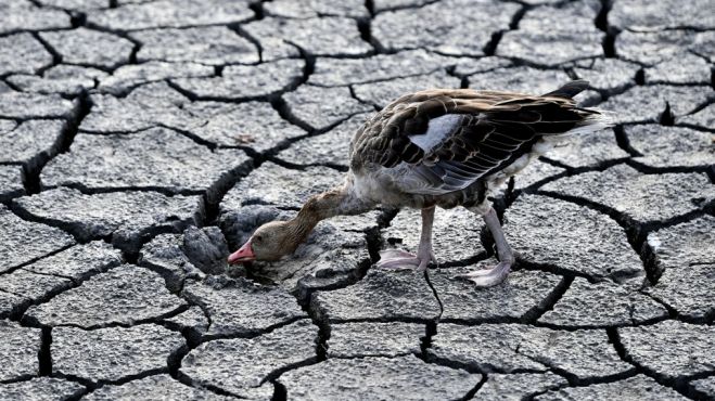 &Kappa;&lambda;&iota;&mu;&alpha;&tau;&iota;&kappa;ή &alpha;&lambda;&lambda;&alpha;&gamma;ή: 20 &phi;&omicron;&rho;έ&sigmaf; &pi;&iota;&theta;&alpha;&nu;ό&tau;&epsilon;&rho;&epsilon;&sigmaf; &omicron;&iota; &sigma;&omicron;&beta;&alpha;&rho;έ&sigmaf; &xi;&eta;&rho;&alpha;&sigma;ί&epsilon;&sigmaf;
