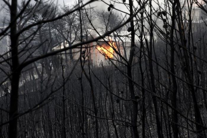 &Sigma;&kappa;&alpha;&sigma;&mu;ό&sigmaf; &epsilon;&sigma;&epsilon;ί&sigmaf;, &zeta;&alpha;&gamma;ά&rho;&iota;&alpha;!