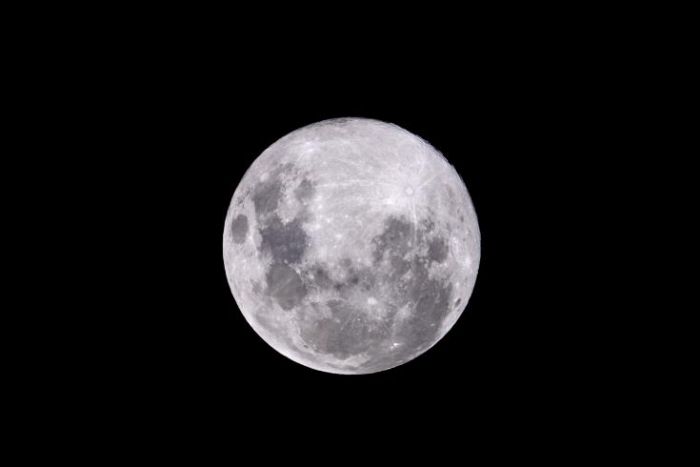 &Alpha;&pi;ό&psi;&epsilon;: &Tau;&omicron; &Phi;&epsilon;&gamma;&gamma;ά&rho;&iota; &tau;&omega;&nu; &Lambda;&omicron;&upsilon;&lambda;&omicron;&upsilon;&delta;&iota;ώ&nu; &sigma;&tau;&eta;&nu; &tau;&epsilon;&lambda;&epsilon;&upsilon;&tau;&alpha;ί&alpha; &upsilon;&pi;&epsilon;&rho;&pi;&alpha;&nu;&sigma;έ&lambda;&eta;&nu;&omicron; &tau;&omicron;&upsilon; 2020