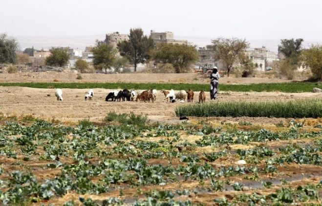&Sigma;&upsilon;&nu;ά&nu;&tau;&eta;&sigma;&eta; &mu;&epsilon; &tau;&omicron;&nu; &pi;&rho;ό&epsilon;&delta;&rho;&omicron; &tau;&eta;&sigmaf; &Delta;&eta;&mu;&omicron;&kappa;&rho;&alpha;&tau;ί&alpha;&sigmaf; &zeta;&eta;&tau;&omicron;ύ&nu; &omicron;&iota; &alpha;&gamma;&rho;&omicron;&tau;&iota;&kappa;έ&sigmaf; &omicron;&rho;&gamma;&alpha;&nu;ώ&sigma;&epsilon;&iota;&sigmaf;