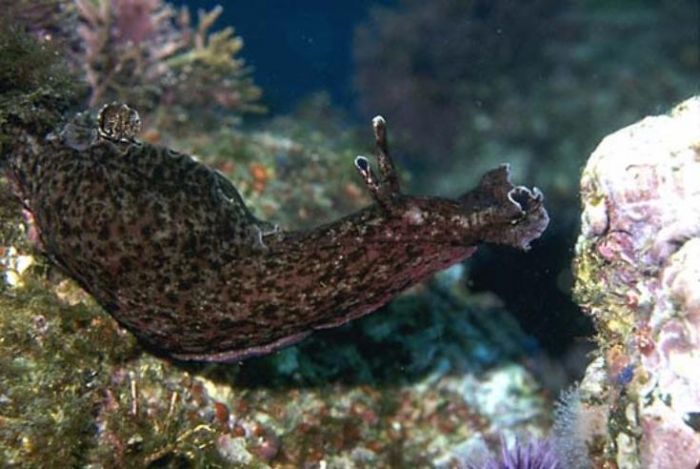 &Mu;&epsilon;&tau;&alpha;&phi;&omicron;&rho;ά &mu;&nu;ή&mu;&eta;&sigmaf; &alpha;&pi;ό &tau;&omicron; έ&nu;&alpha; &zeta;ώ&omicron; &sigma;&tau;&omicron; ά&lambda;&lambda;&omicron;!