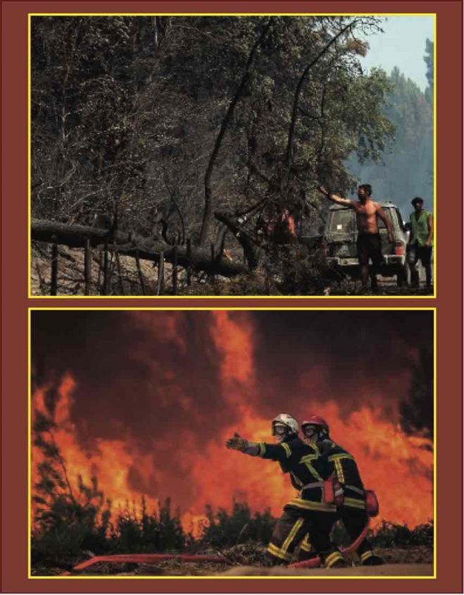 &Kappa;&alpha;&tau;&alpha;&sigma;&tau;&rho;&omicron;&phi;&iota;&kappa;έ&sigmaf; &pi;&upsilon;&rho;&kappa;&alpha;&gamma;&iota;έ&sigmaf;: &Mu;&epsilon; &tau;&eta; &laquo;&sigma;&phi;&rho;&alpha;&gamma;ί&delta;&alpha;&raquo; &tau;&eta;&sigmaf; &epsilon;&gamma;&kappa;&lambda;&eta;&mu;&alpha;&tau;&iota;&kappa;ή&sigmaf; &pi;&omicron;&lambda;&iota;&tau;&iota;&kappa;ή&sigmaf; &tau;&eta;&sigmaf; &Epsilon;&Epsilon; &pi;&omicron;&upsilon; &theta;&epsilon;&omega;&rho;&epsilon;ί &laquo;&kappa;ό&sigma;&tau;&omicron;&sigmaf;&raquo; &tau;&alpha; &omicron;&upsilon;&sigma;&iota;&alpha;&sigma;&tau;&iota;&kappa;ά &mu;έ&tau;&rho;&alpha; &pi;&rho;&omicron;&sigma;&tau;&alpha;&sigma;ί&alpha;&sigmaf;