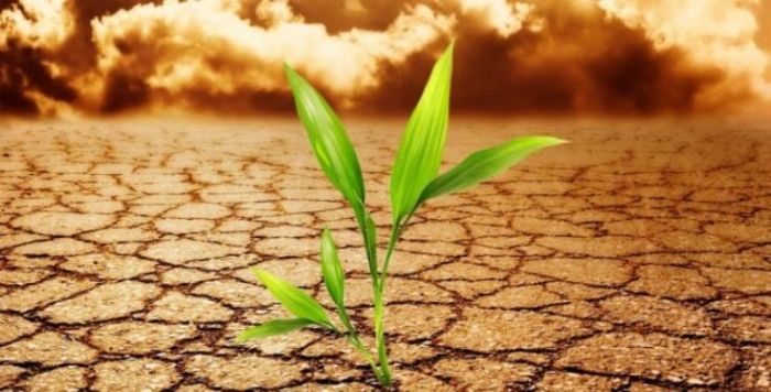 &Eta; &Pi;&Sigma;&Epsilon;&Mu; &kappa;&alpha;&lambda;&epsilon;ί &tau;&omicron;&upsilon;&sigmaf; &mu;&alpha;&theta;&eta;&tau;έ&sigmaf; &nu;&alpha; &sigma;&upsilon;&mu;&mu;&epsilon;&tau;έ&chi;&omicron;&upsilon;&nu; &sigma;&tau;&eta;&nu; &epsilon;&kappa;&delta;ή&lambda;&omega;&sigma;&eta; &gamma;&iota;&alpha; &tau;&iota;&sigmaf; &kappa;&lambda;&iota;&mu;&alpha;&tau;&iota;&kappa;έ&sigmaf; &alpha;&lambda;&lambda;&alpha;&gamma;έ&sigmaf;